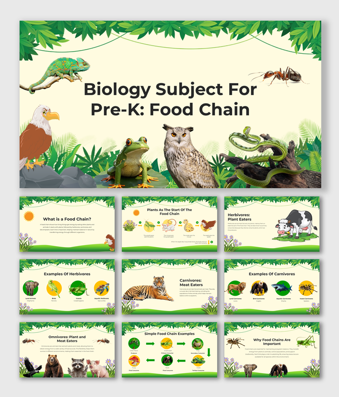 Illustrated food chain sequence with animals like frogs, snakes, and eagles, designed for Pre-K learning.