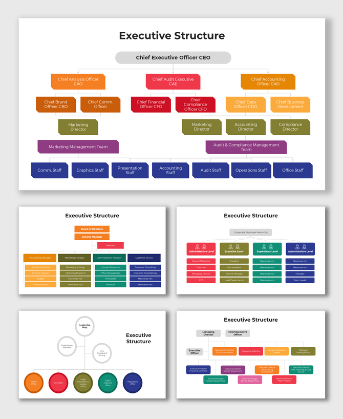 Color-coded executive structure diagrams showing corporate hierarchy and reporting lines across various departments.