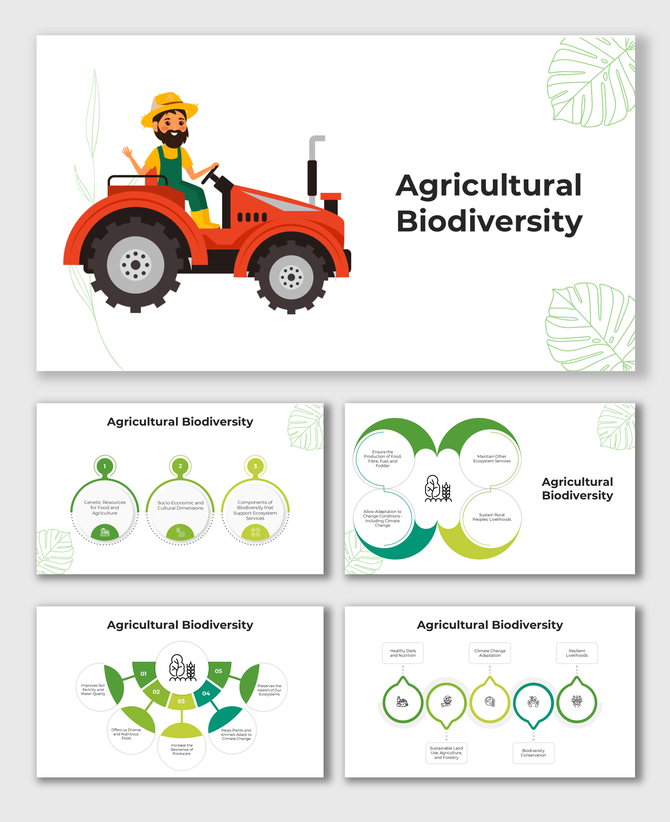 Visual guide on Agricultural Biodiversity showing benefits for food security, climate adaptation, and rural livelihoods.