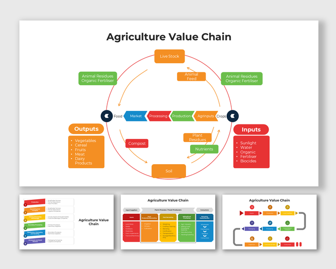 Agriculture Value Chain visuals showing circular flow from inputs to outputs with market and compost cycles.
