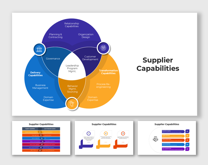 Venn diagram layout showing supplier capabilities including delivery, transformation, and relationship areas.