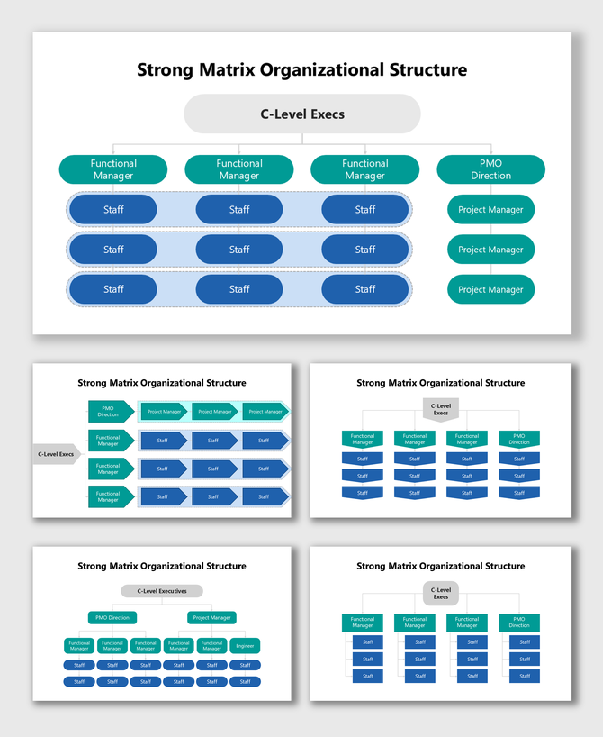 Strong Matrix Organizational Structure showing C-level execs, PMO direction, functional managers, staff, and project roles.