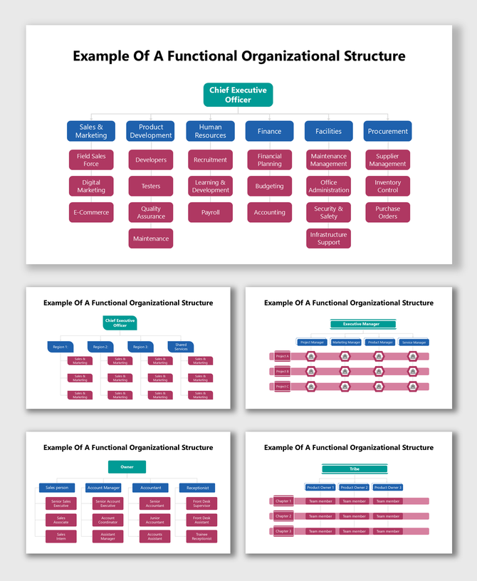 Matrix Organization Org Chart showing finance, HR, IT, marketing, operations teams linked with project roles and staff.