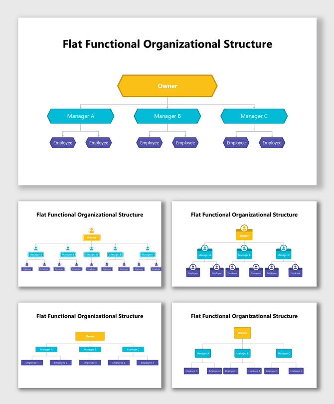 Flat Functional Organizational Structure showing owner, managers, and employees in a single-level hierarchy layout.
