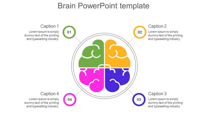 Infographic of a segmented brain with four colored sections, each connected to a numbered circle and text description. 