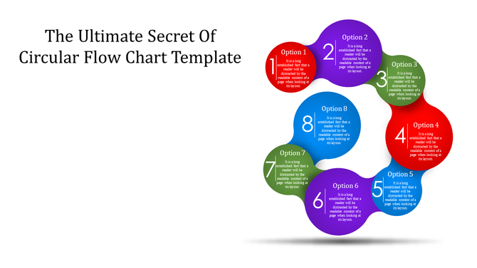 Colorful circular diagram slide with 8 sections, each labeled Option and a number.