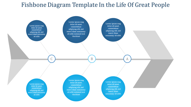 Gray fishbone diagram featuring three labeled sections with multiple blue circular text boxes connected on both sides.