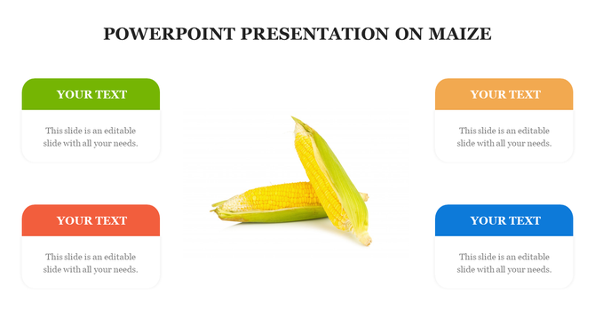 Maize-themed slide with an image of two corn cobs in the center and four text boxes in vibrant colors around it.