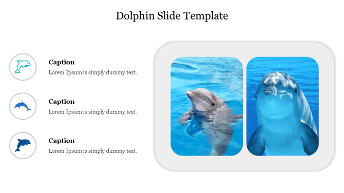 Dolphin template with illustrated dolphin icons and two photos of dolphins in blue water with three captions areas.
