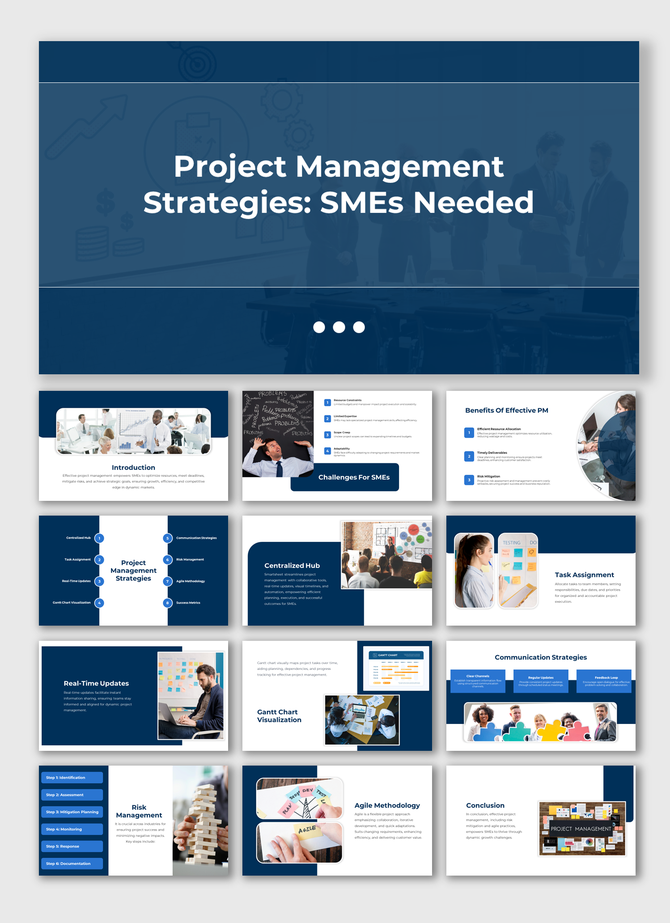 Slides showing key aspects of Project management strategies aimed at SMEs including challenges and benefits with many images.
