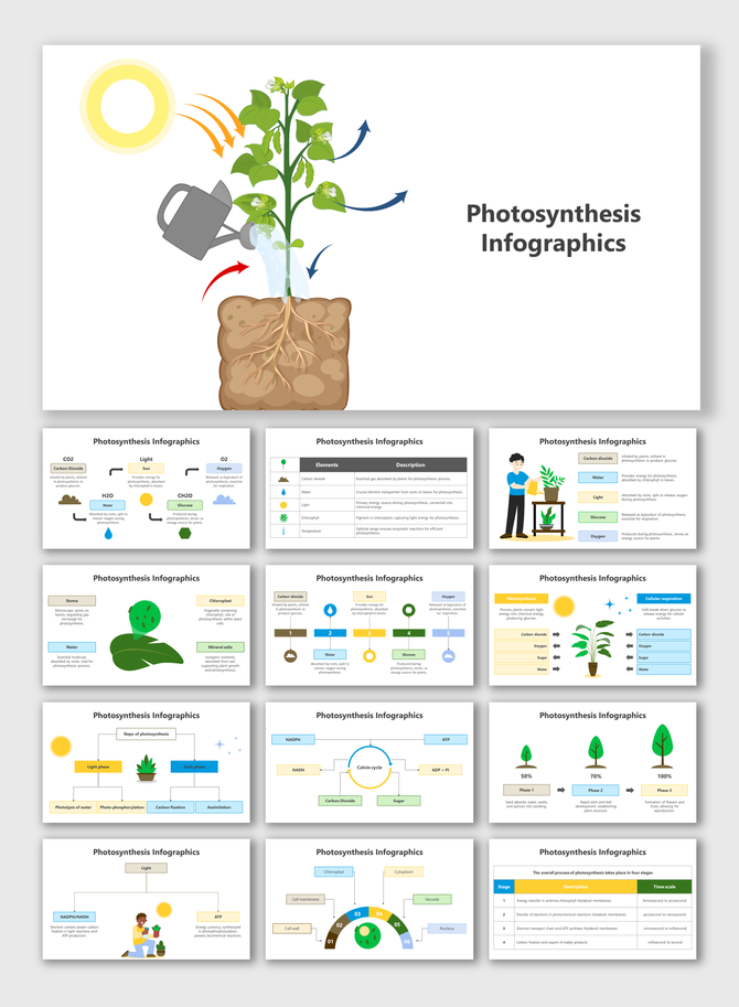 Slide deck explaining photosynthesis, with plant diagrams, elements like sunlight and water, and their roles in the process.