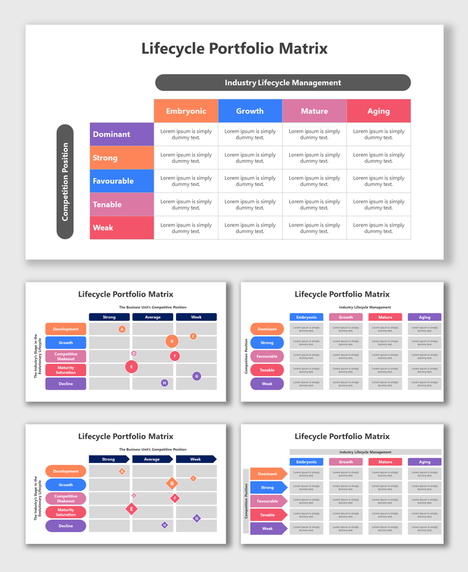 Lifecycle portfolio matrix slides with tables and charts in blue, orange, purple, and pink showing competitive positions.