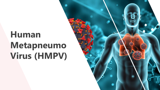 Human Metapneumovirus PPT And Google Slides Templates