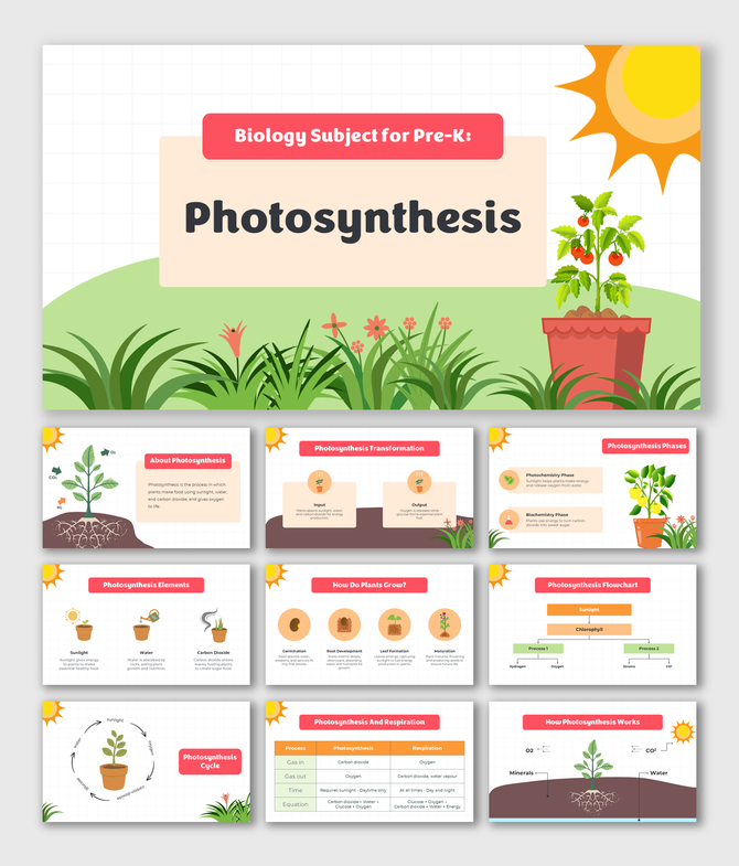 Biology Subject For Pre-K Photosynthesis slides with colorful plant diagrams, sun icons, growth cycles, charts, tables.