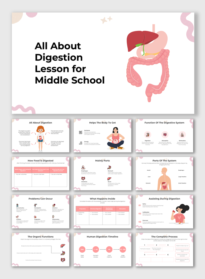 All about digestion lesson for middle school with organs, timeline, diagrams, and pink visuals for interactive learning.