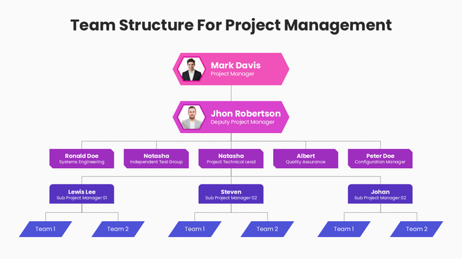 Team Structure For Project Management PPT And Google Slides
