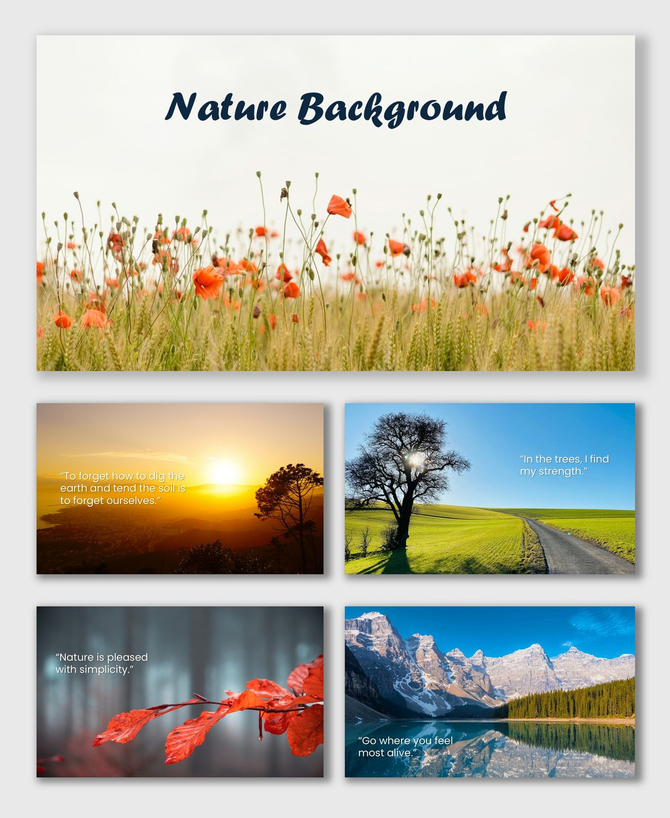 Background nature wallpaper with misty forests, waterfalls, flowers, and snowy landscapes in calm green, and earthy tones.