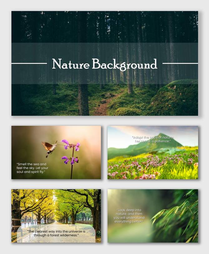 Picture nature background slides with forests, flowers, and greenery in soft sunlight tones creating a calm, fresh feel.