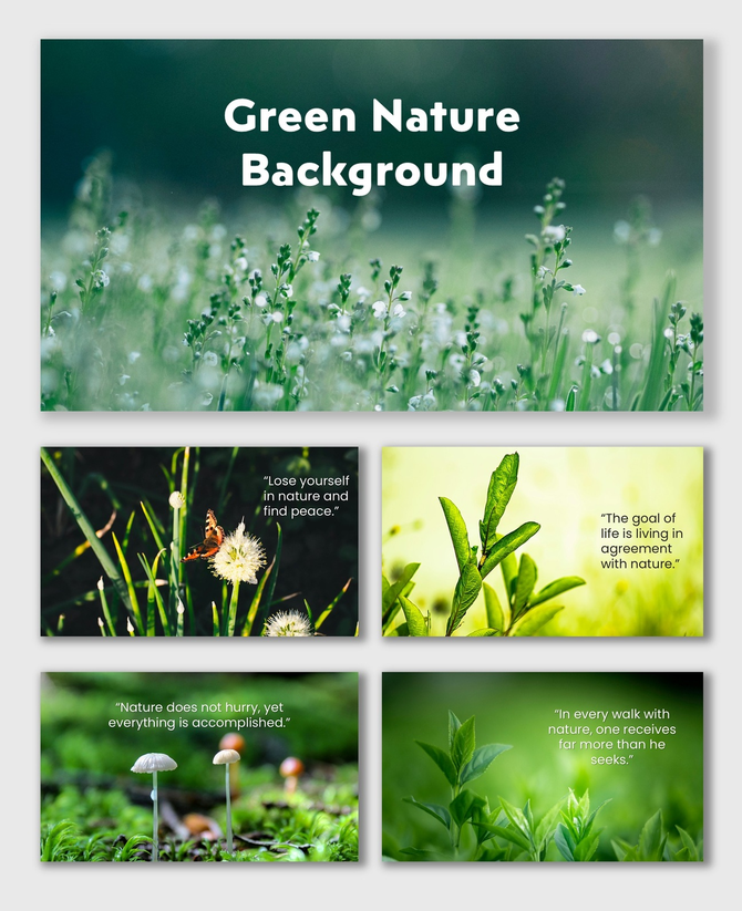 Green nature background slides with fresh leaves, flowers, and soft sunlight tones creating a calm and refreshing vibe.