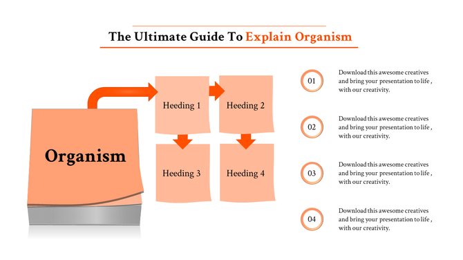 Biology themed slide featuring a stacked orange shape branching into four sections with numbered captions on the side.