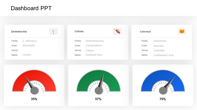 Sashboard design featuring three plant species data and corresponding progress meters in red, green, and blue.