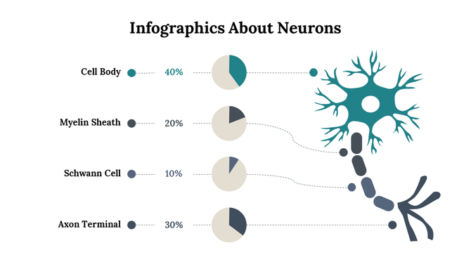 Illustration of neuron in teal and gray with four labeled parts, paired with pie charts showing percentages.