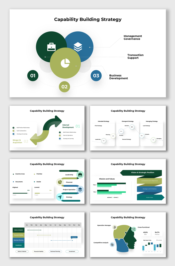 Capability building strategy slides illustrating governance, business development, and transaction support.
