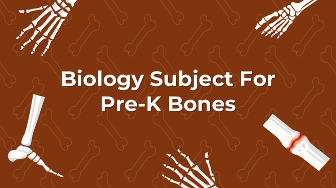 Biology Subject For Pre K Bones PowerPoint And Google Slides