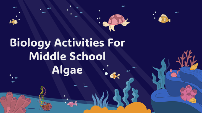 Biology Activities For Middle School Algae PowerPoint