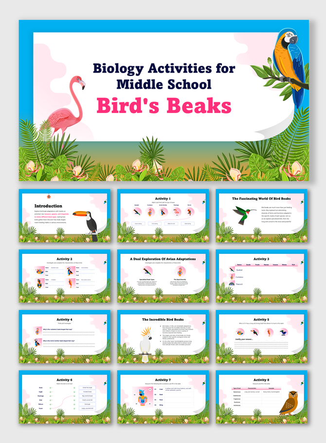 Biology Activities For Middle School Birds Beaks slides show colorful birds, beak types, nature graphics, and fun tasks.