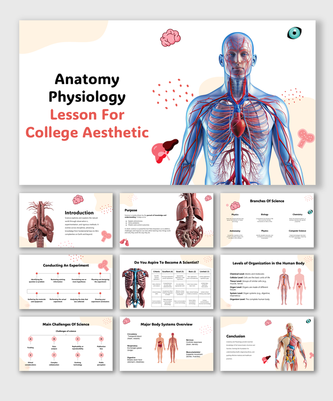 Anatomy Physiology Lesson For College Aesthetic with human body diagrams, organs, systems, and pastel science icons.