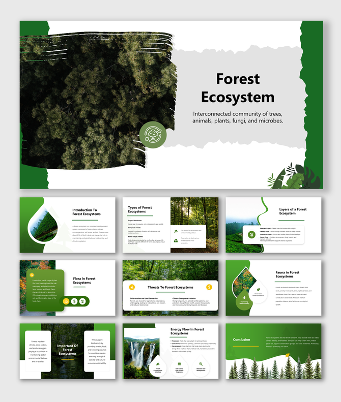 Forest Ecosystem exploring interconnected trees, plants, animals, fungi, and energy flow in vibrant green slides.