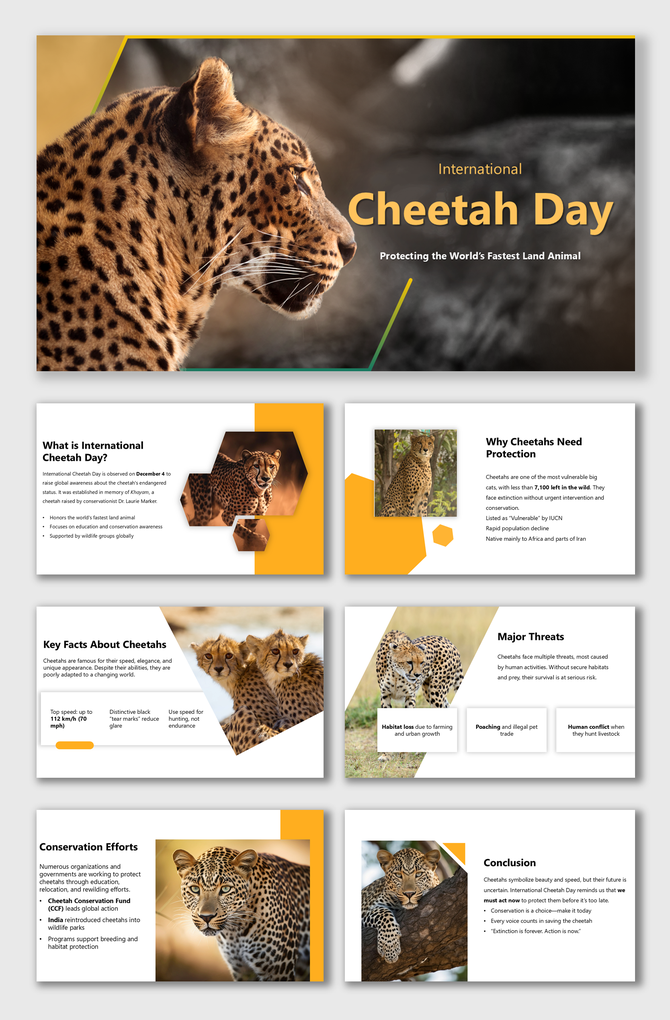 International Cheetah Day slides with cheetah images, facts, threats, and bold orange-white layout.