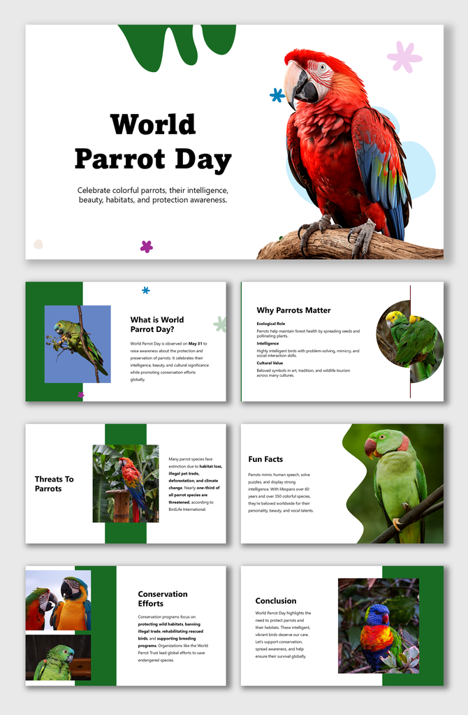 World Parrot Day slides with vibrant parrot photos, green accents, and content on threats, facts, and conservation.