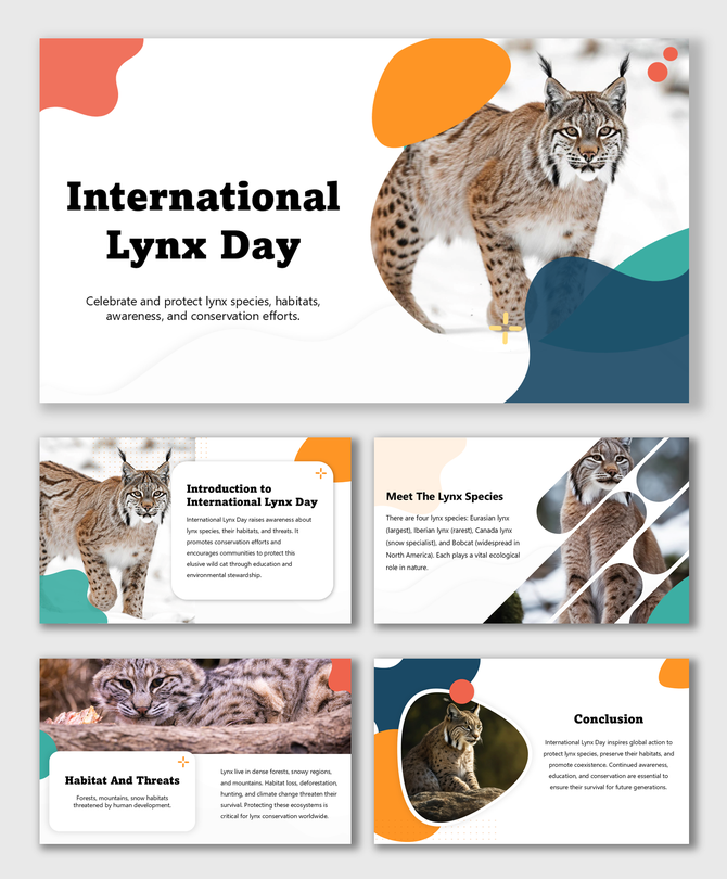 International Lynx Day slides with lynx photos, facts, threats, curved shapes, and orange-blue design elements.