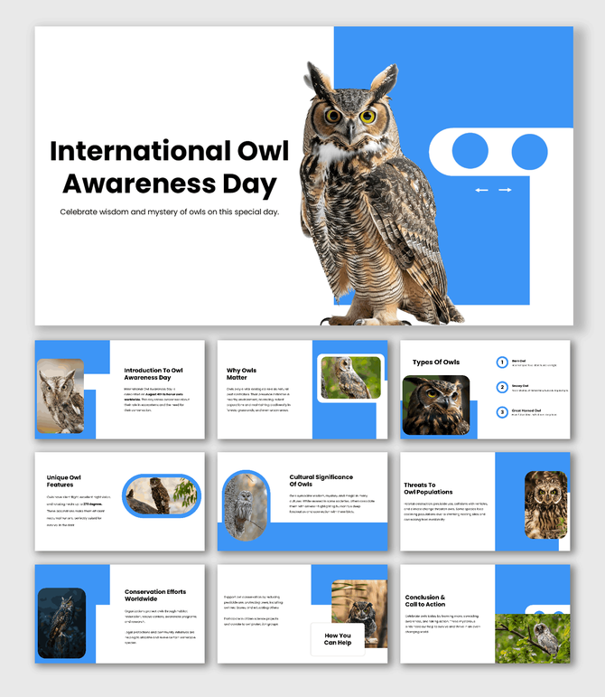 International Owl Awareness Day slides with owl images, blue theme, species, conservation, culture, shapes, and text holders.