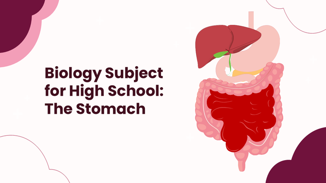 Biology Subject For High School The Stomach PowerPoint