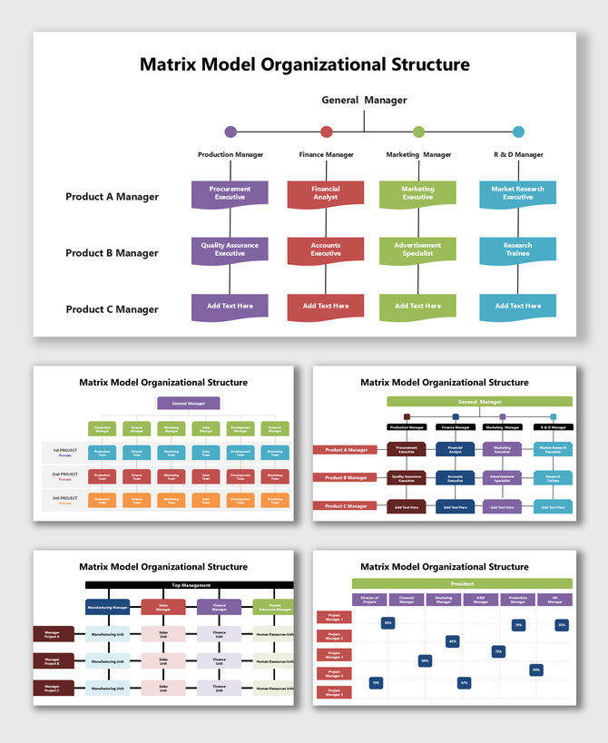 Matrix Model Organizational Structure with managers, roles, color boxes, and linked hierarchy.