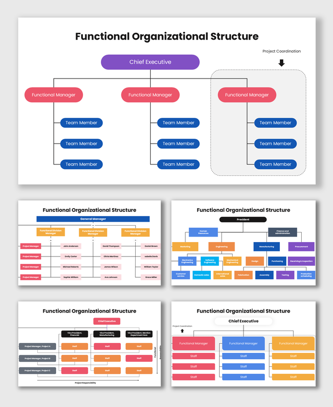 Functional Organizational Structure with executives, managers, team boxes, and color hierarchy.