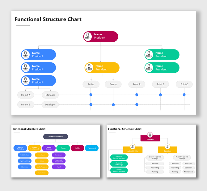 Functional Organization Structure Diagram showing colorful hierarchy, roles, and team flow.
