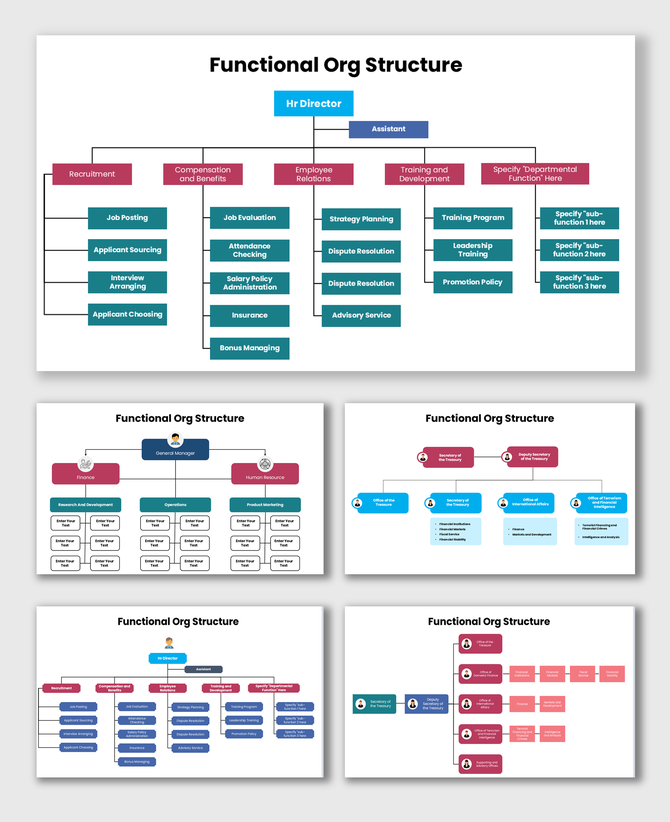Functional Org Structure showing HR hierarchy, colored boxes, team roles, and flow chart.
