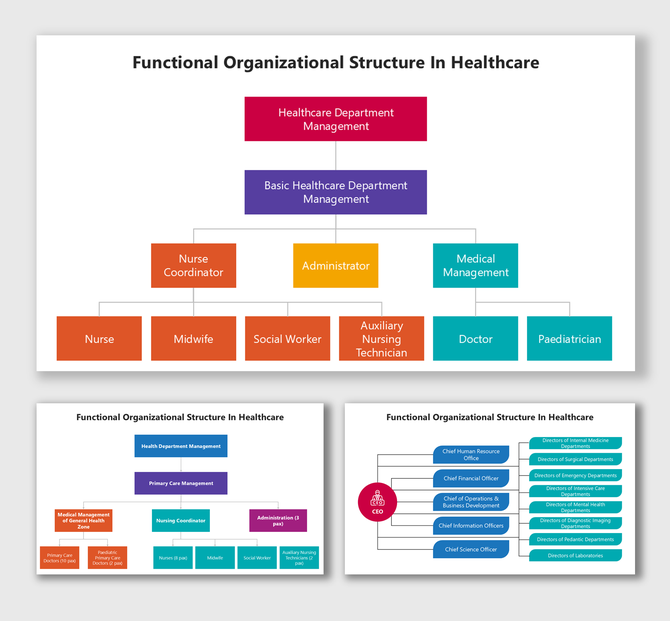 Functional Organizational Structure In Healthcare with roles, color boxes, hierarchy, and flow.