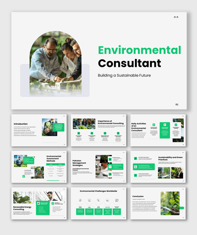Environmental consultant presentation on sustainability, renewable energy, and pollution control.