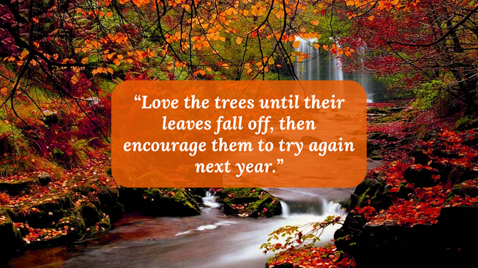 Autumn landscape with vibrant orange and red fall leaves, featuring an inspirational quote overlaid in an orange box.