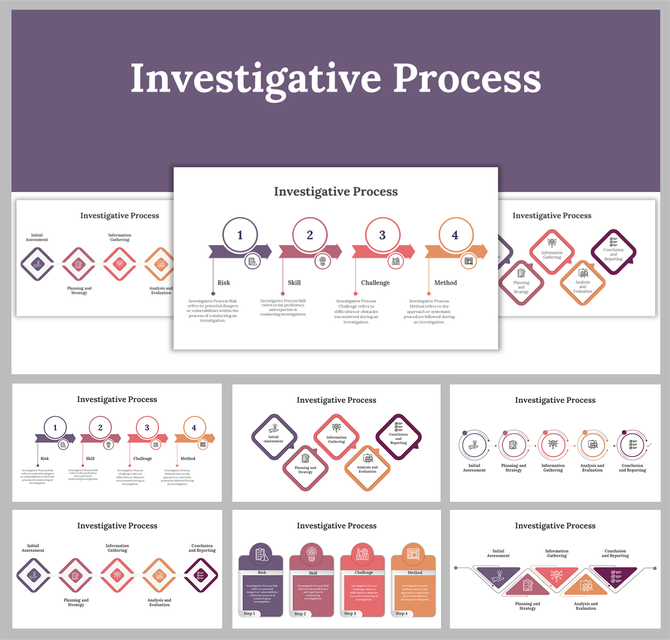Overview of the investigative process with four main stages presented in circular icons from risk to method.