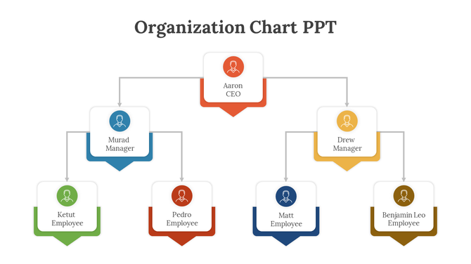 Color-coded organization chart displaying CEO at the apex, managers in the middle, and employees at the base.