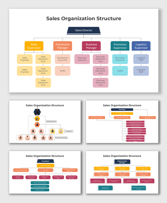 Sales Organization Structure chart with colorful boxes showing director, managers, and team hierarchy layout.