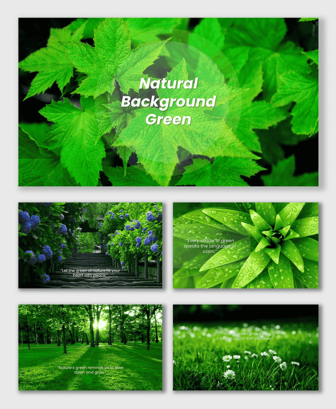Natural background green presentation with fresh leaves, dew drops, sunlight, grass field, and calm forest scenery.