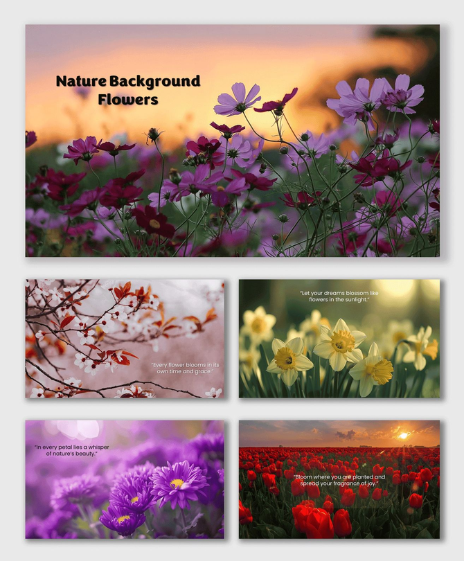 Nature Background Flowers with colorful blooms, sunset light, green fields, and inspiring floral scenery.