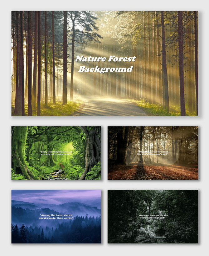 Nature Forest Background with sunlight filtering through tall trees, misty paths, and lush green woodland.